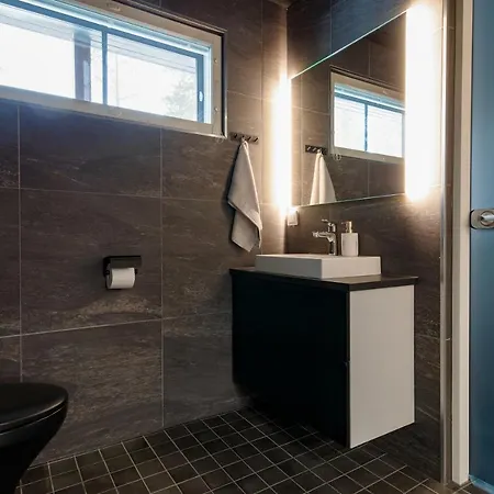 Villa Lymyilevi Levi